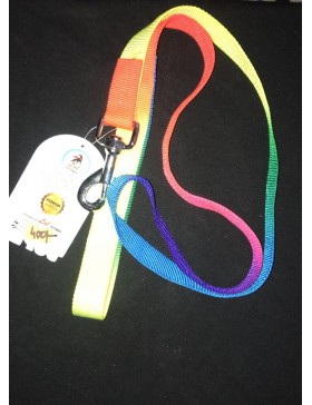 Rainbow leash